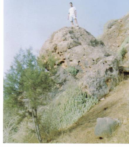 c moi a cascade ozoud